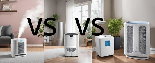 Humidifier vs Dehumidifier vs Air Purifier: What’s Best For You?