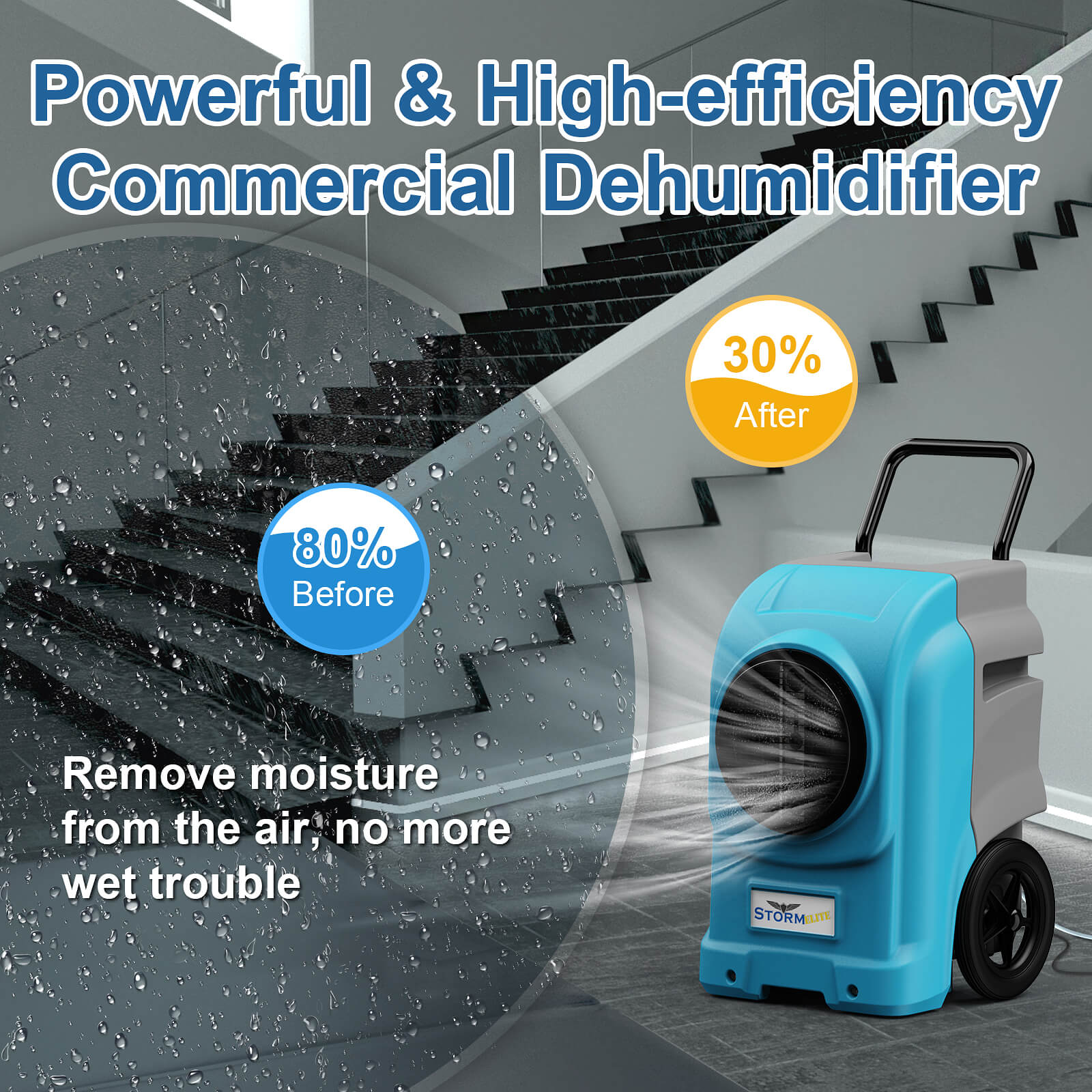 Good Dehumidifier For Basement